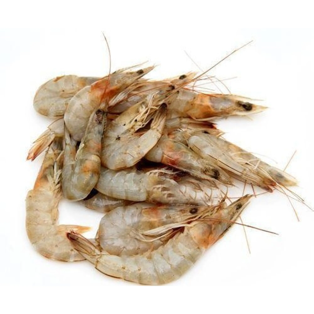 Prawns